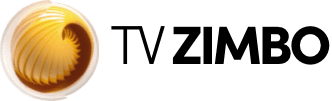 File:TV Zimbo.png